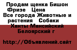 Продам щенка Бишон Фризе › Цена ­ 30 000 - Все города Животные и растения » Собаки   . Ханты-Мансийский,Белоярский г.